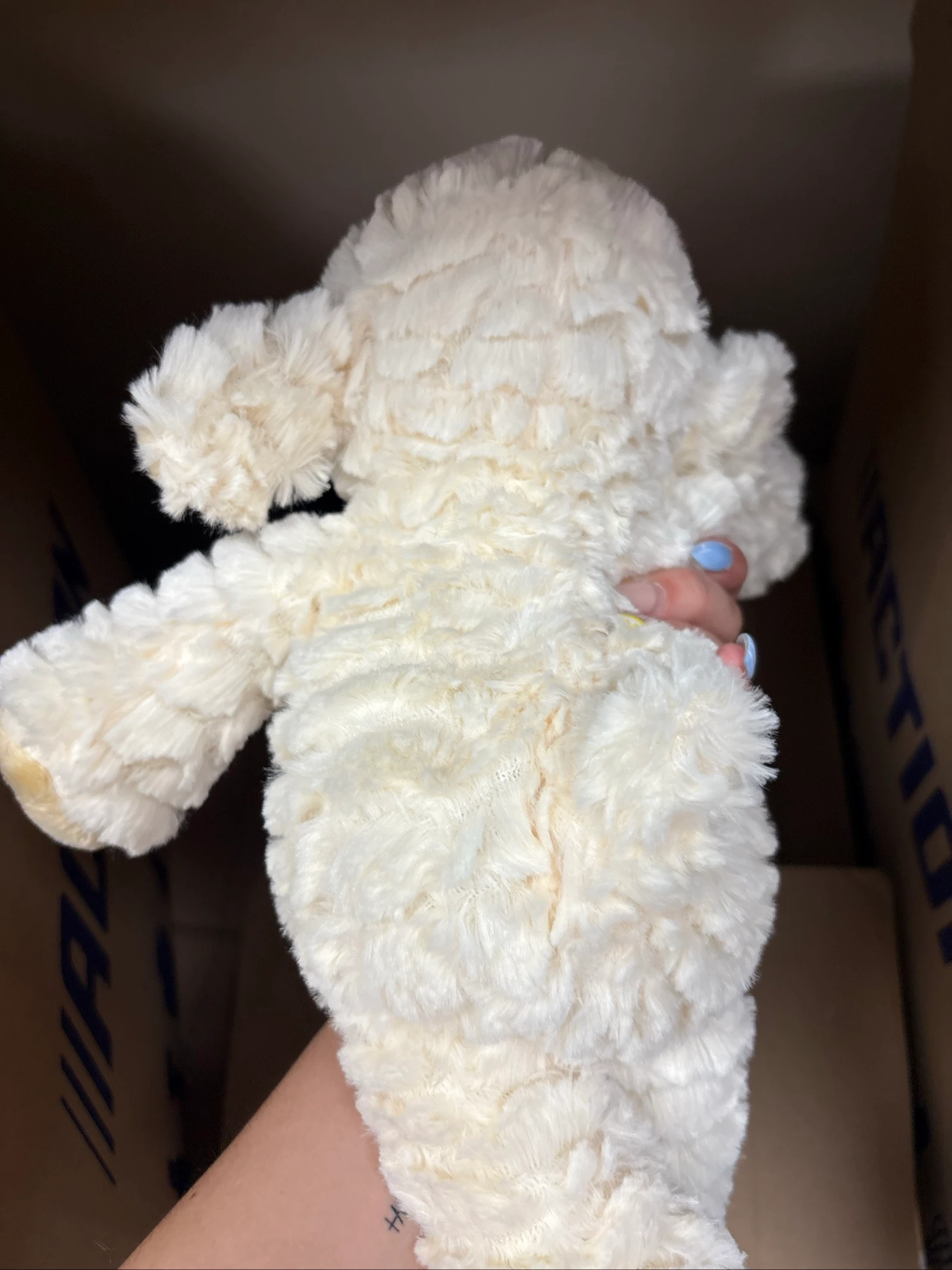 Doudou – photo 4